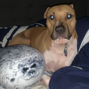 Meet your Posher, Aubrie